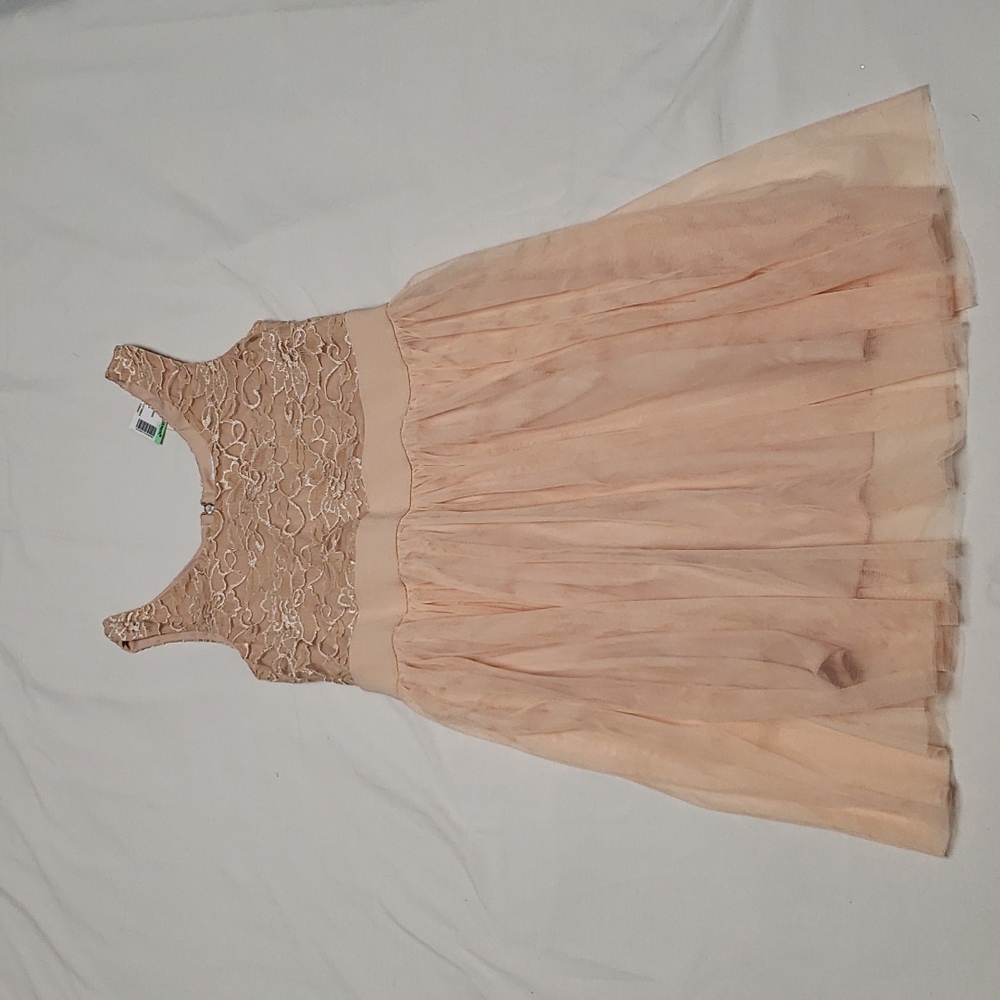 Size L Blush pink dress with lace top